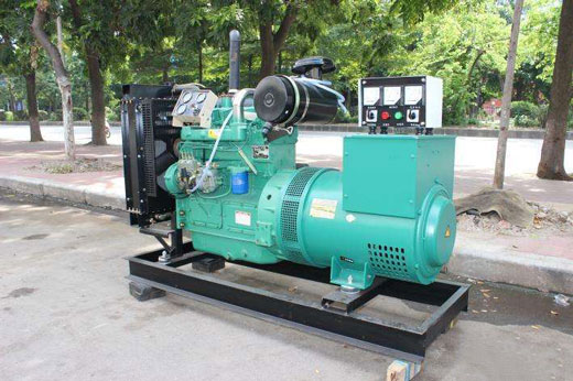 新余发电机不发电的原因